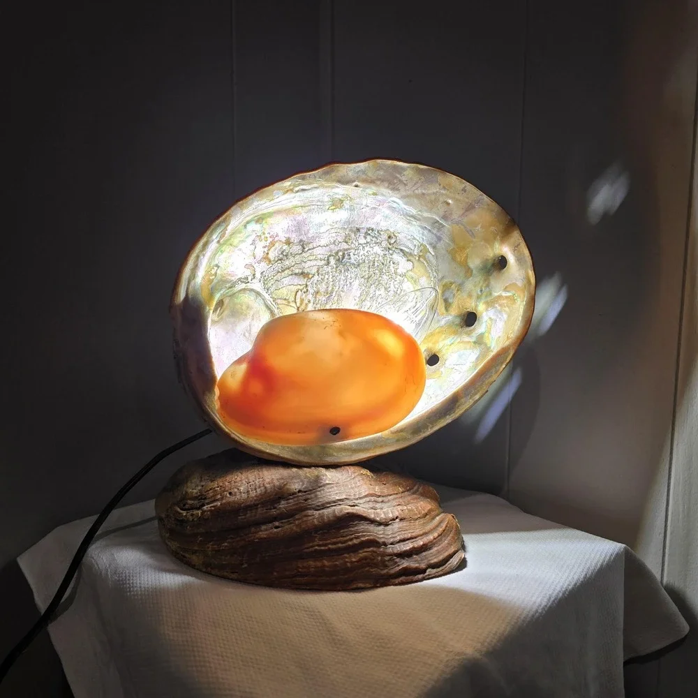 Vintage 60s Abalone Shell Lamp Mother of Pearl Coastal Beach Decor Night Light